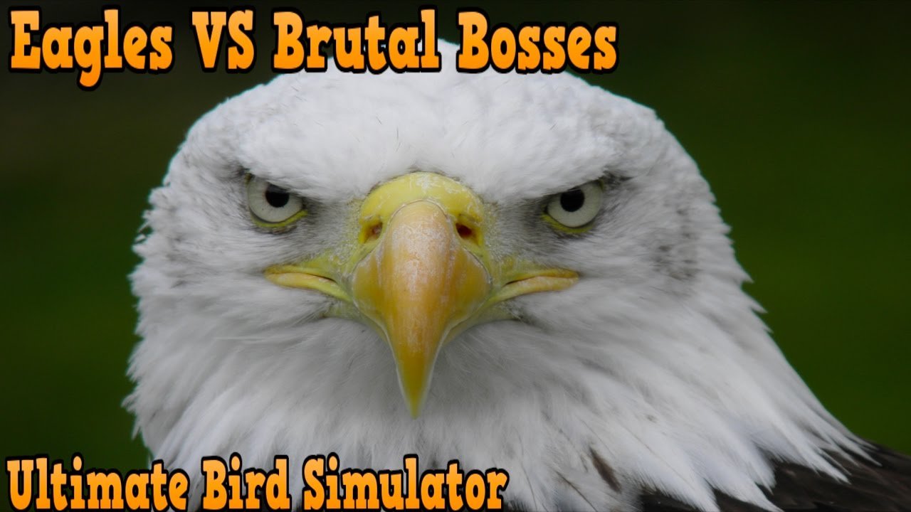 Ultimate bird simulator - необычный симулятор птиц